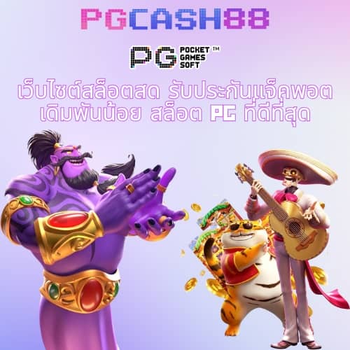 cafe444 สล็อต